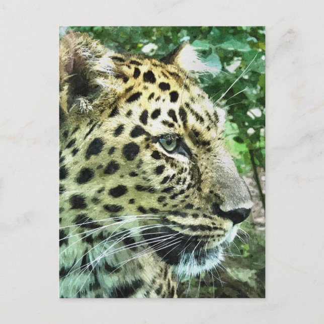 LEOPARDS POSTCARD (Front)