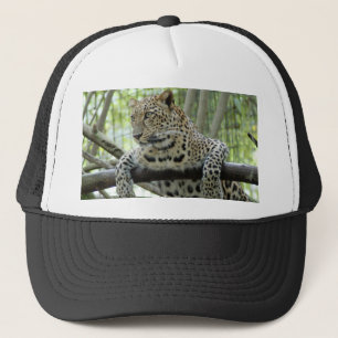 LeopardSundari_006 Trucker Hat