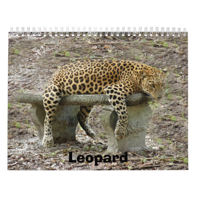 LeopardSundari_010, Leopard Calendar (Cover)