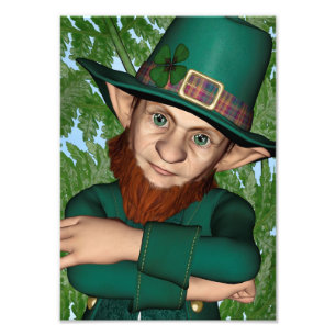 Leprechaun Photo Print