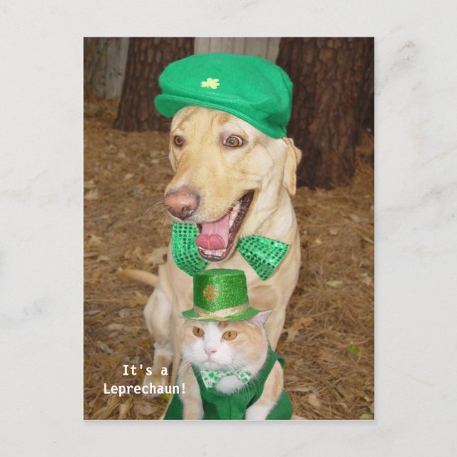 Leprechaun Sighting! Postcard (Front)