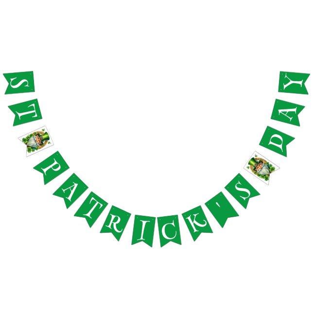 Leprechaun St Patrick's Day Celebration Bunting (All)