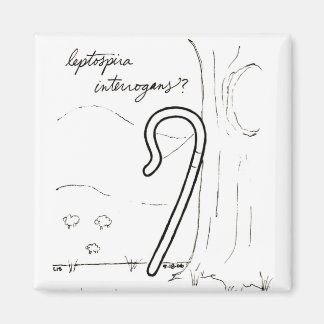 Leptospira Interrogans magnet
