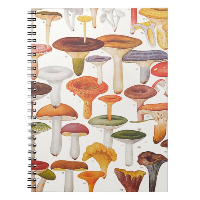 Les Champignons Mushrooms Notebook (Front)