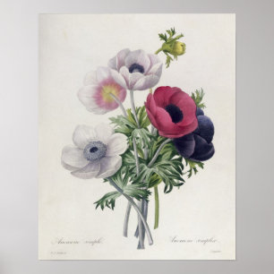 'Les Choix des Plus Belles Fleurs' Poster