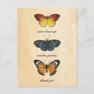 Les Papillons Thank You Postcard