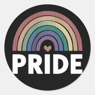 Lesbian Funny LGBT Gay Pride Rainbow  Classic Round Sticker