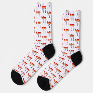 Lesbian Pride Flag Chai Socks