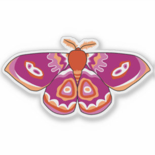 Lesbian Pride Moth