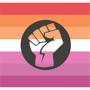 Lesbian Protest Flag