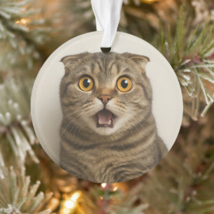 Lesbians Eat What Funny Ornament