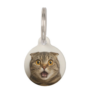Lesbians Eat What Funny Pet Tag