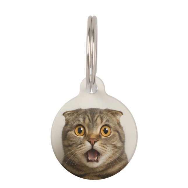 Lesbians Eat What Funny Pet Tag (Front)