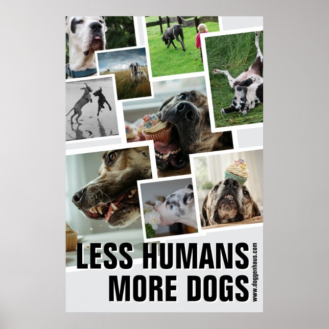 Less Humans, More Dogs  Poster (Front)