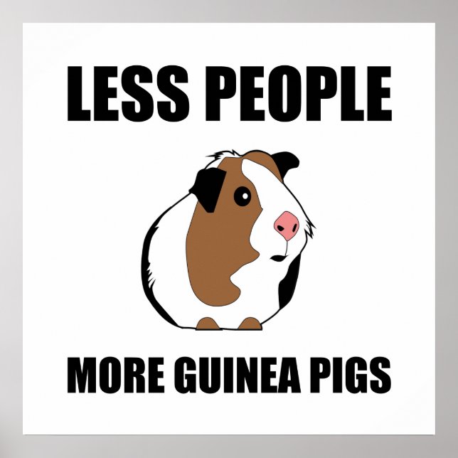 Less People More Guinea Pigs Funny Poster (Front)