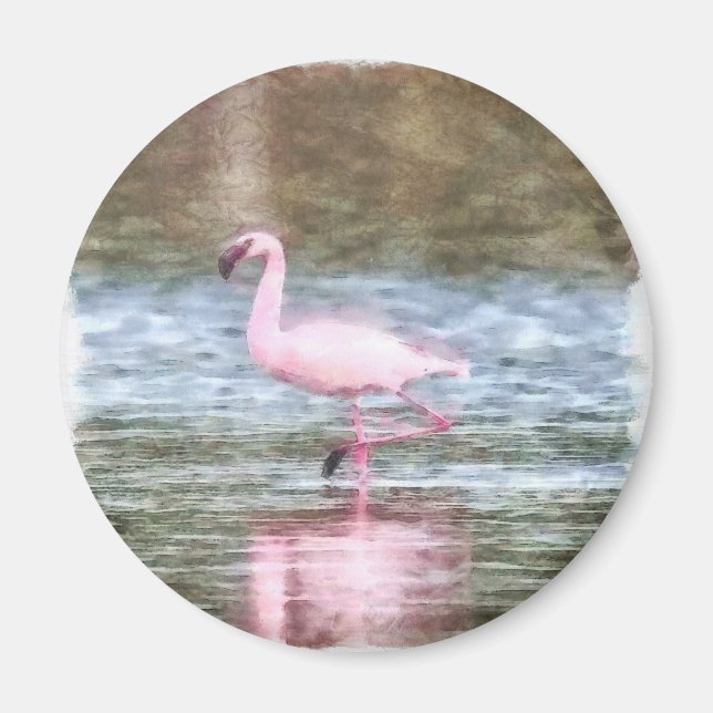 Lesser Flamingo Watercolor Magnet (Front)