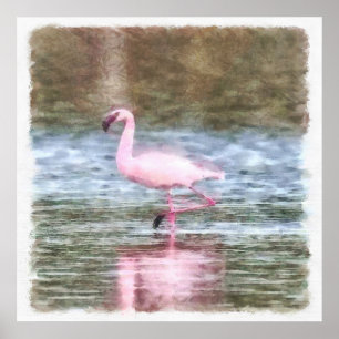 Lesser Flamingo Watercolor Poster