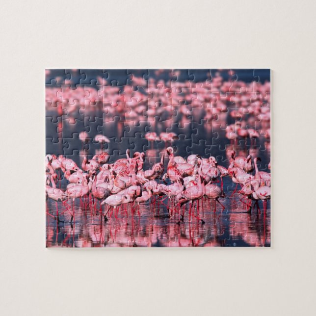 Lesser Flamingos (Phoeniconaias minor), Africa, Jigsaw Puzzle (Horizontal)