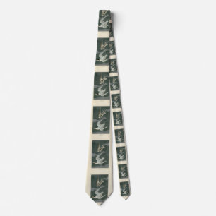 Lesser (Least) Tern - Audubon's Birds of America Tie