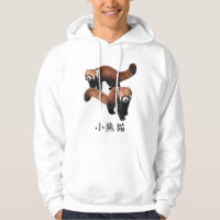 Lesser Panda 4