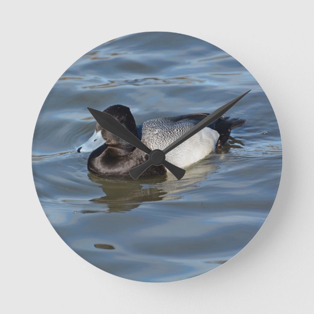 Lesser Scaup Duck Round Clock (Front)