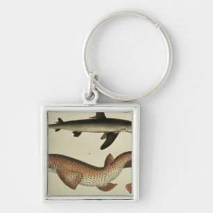 Lesser Spotted Dogfish Key Ring