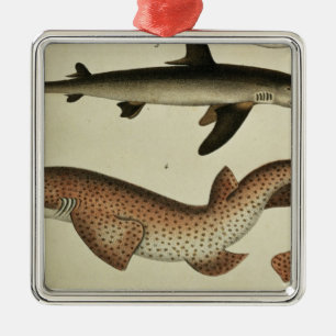 Lesser Spotted Dogfish Metal Tree Decoration