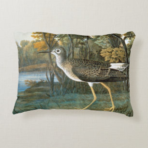 Lesser Yellowlegs Decorative Cushion