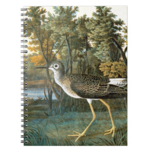Lesser Yellowlegs Spiral Notebook