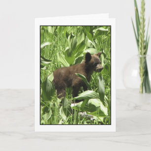 Let Bears Be Bears Card