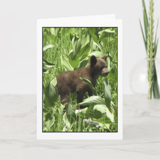 Let Bears Be Bears Card