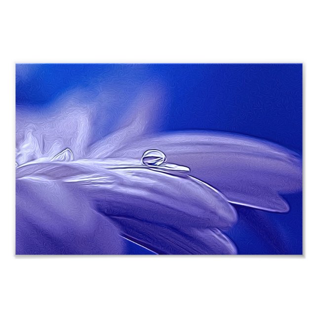 Let flowers Speak Photo Print (Front)