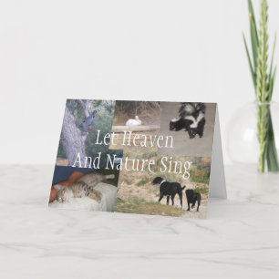 Let Heaven And Nature Sing Christmas Card