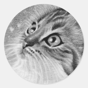 Let is snow Kitty Cat Classic Round Sticker