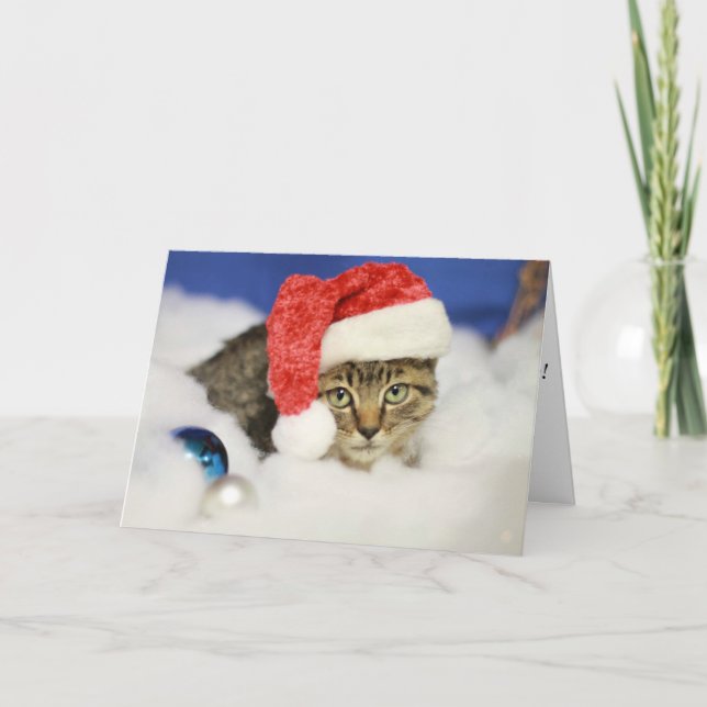 Let It Snow Cat Christmas Card (Front)