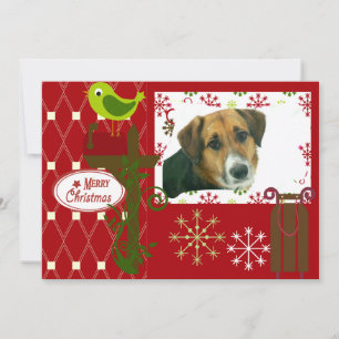 Let It Snow Customised Holiday Photo Card