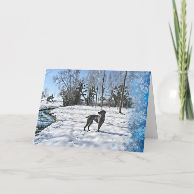 Let it Snow, Let it Snow, Let it Snow Holiday Card (Front)