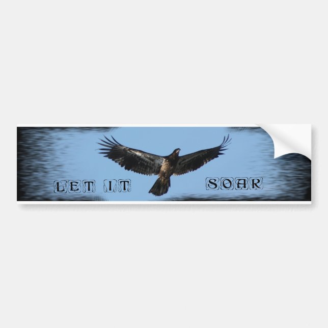 LET IT SOAR BUMPER STICKER (Front)