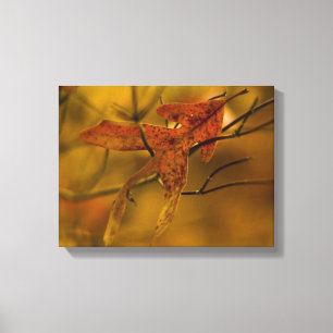 Let me catch you autumn leaves in golden hues canvas print