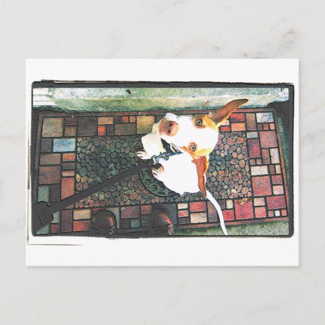 Let Me In Postcard (Front)