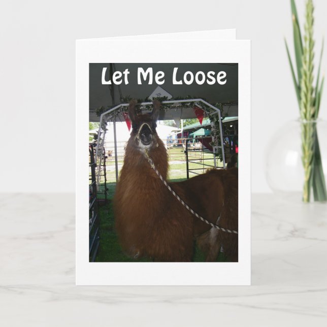 LET ME LOOSE TO SAY HAPPY BIRTHDAY CARD (Front)