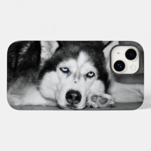 Let Me Sleep Please Case-Mate iPhone 14 Case