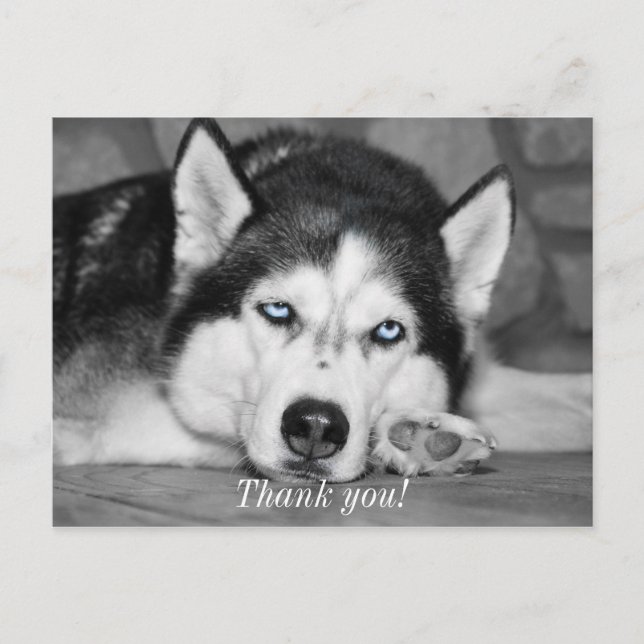 Let Me Sleep Please Thank You Postcard (Front)