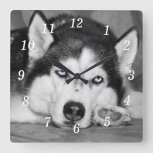 Let Me Sleep Please Wall Clock