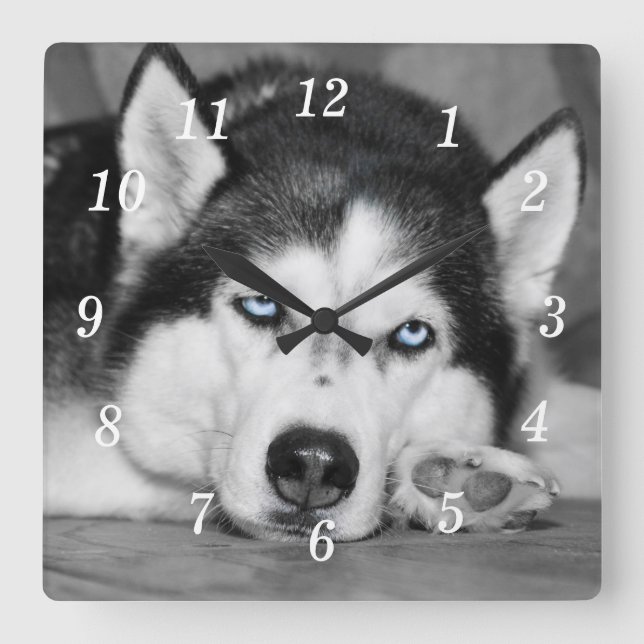 Let Me Sleep Please Wall Clock (Front)