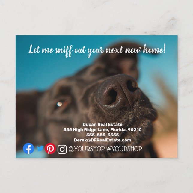 Let me sniff out  real estate marketing postcard (Front)