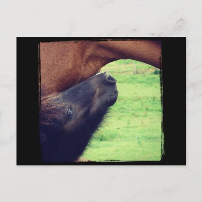 Let Me Tell You A Secret Postcard (Front)