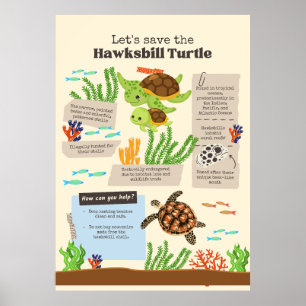 let save turtle poster