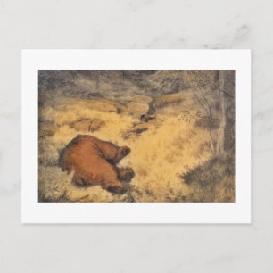 "Let Sleeping Bears Lie" Postcard