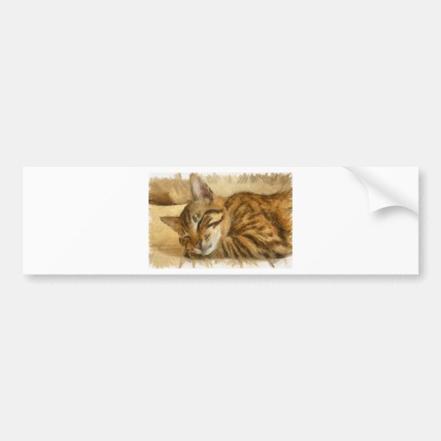 Let Sleeping Cats Lie Pencil Sketch Bumper Sticker (Front)